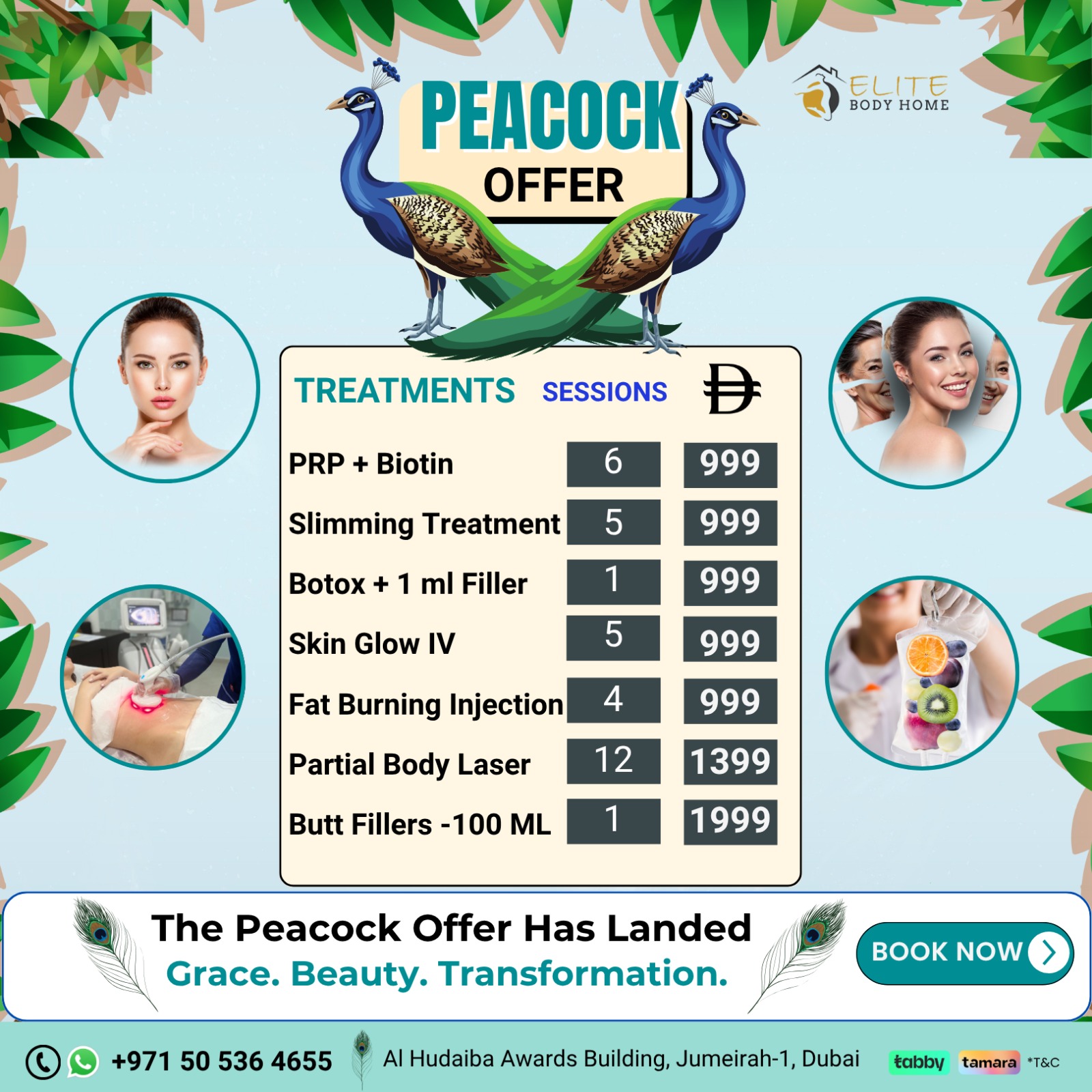 Grace. Beauty. Transformation — Just Like the Peacock.